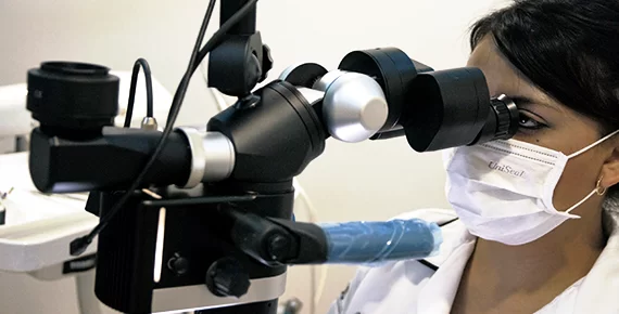 endodontists-in-mexico